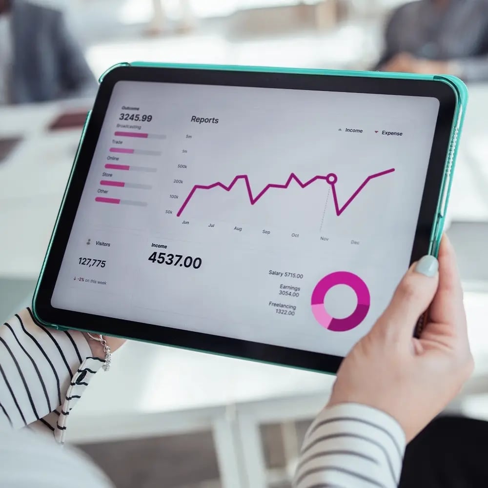DV_Website_25_RevenueAnalytics_1