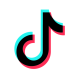 TikTok logo